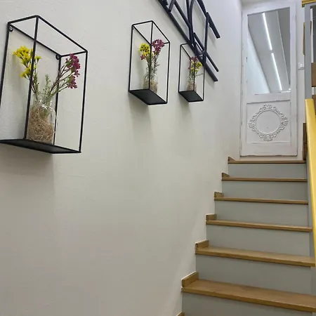 Silvano Cozy Loft Bologna